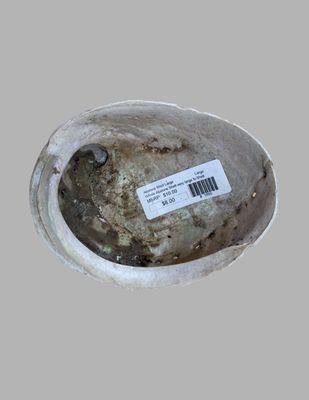 Abalone Shell Large
