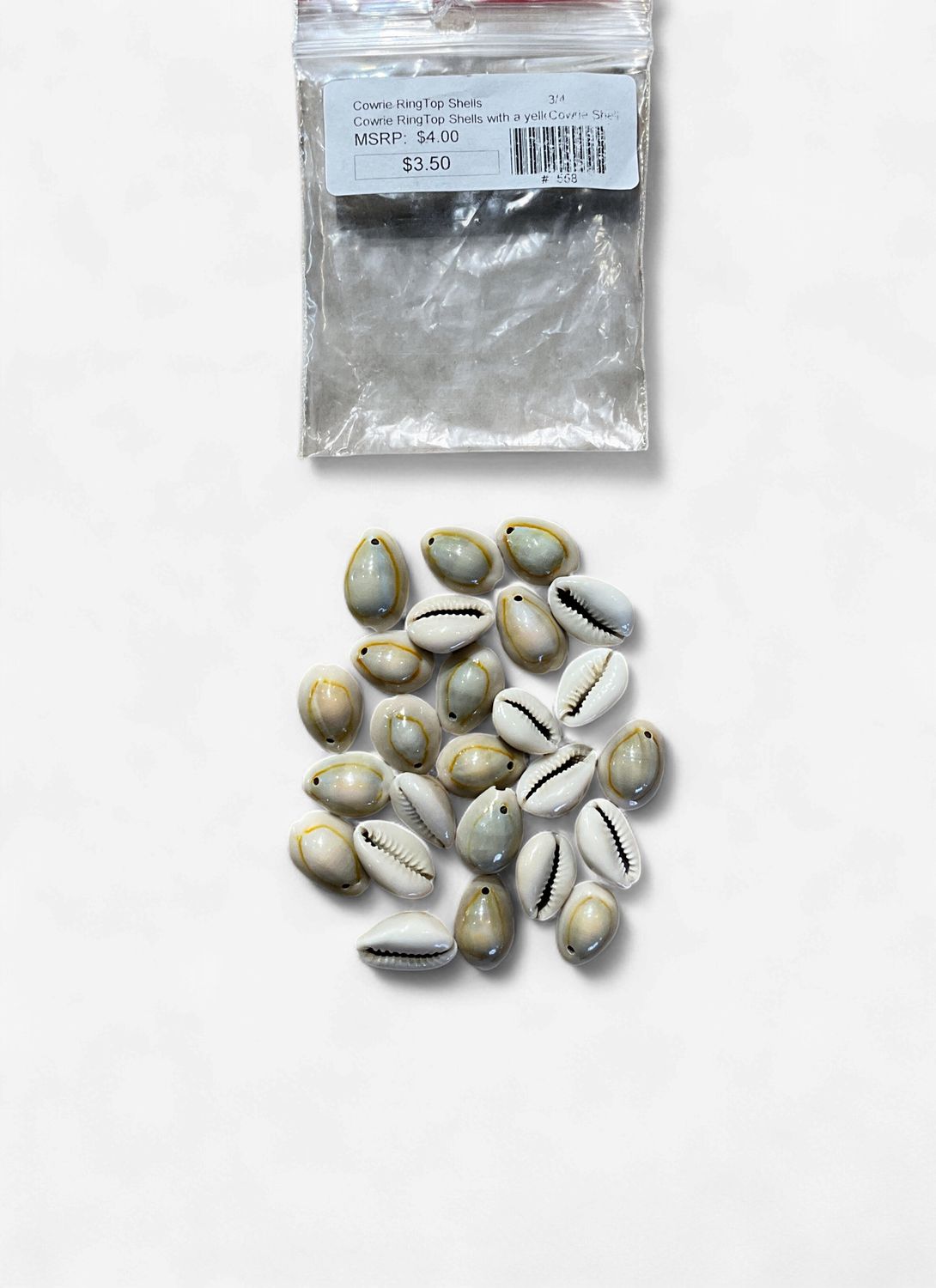 Cowrie RingTop Shells Sold In Bags Of 25