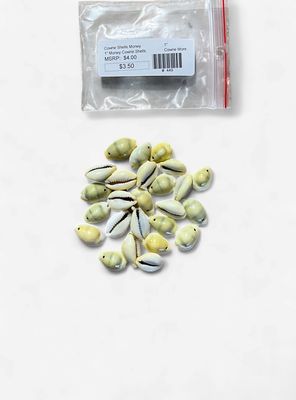 Cowrie Shells Money