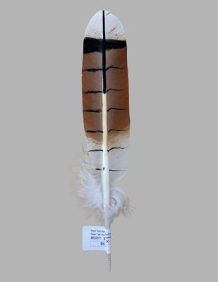 Imitation Red Tail Hawk Feathers