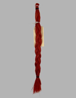 Horse Hair Orange