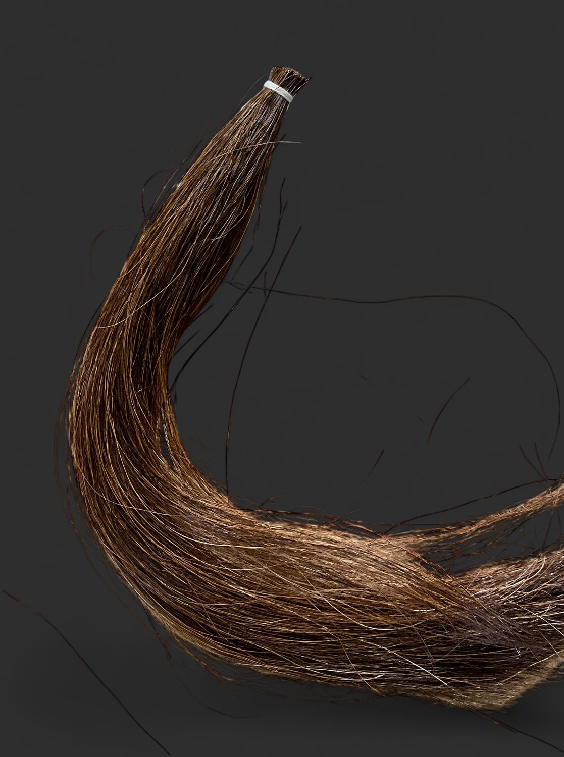 Horse Hair Brown