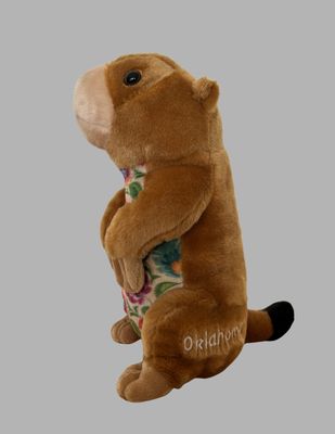 Oklahoma Prairie Dog