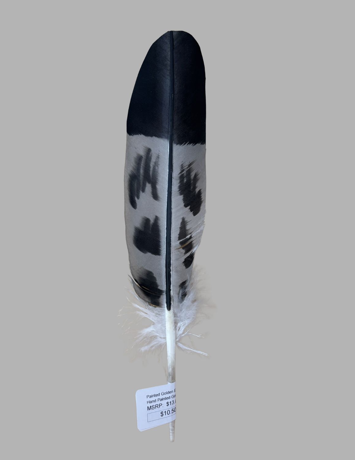 Painted Golden Eagle Feathers