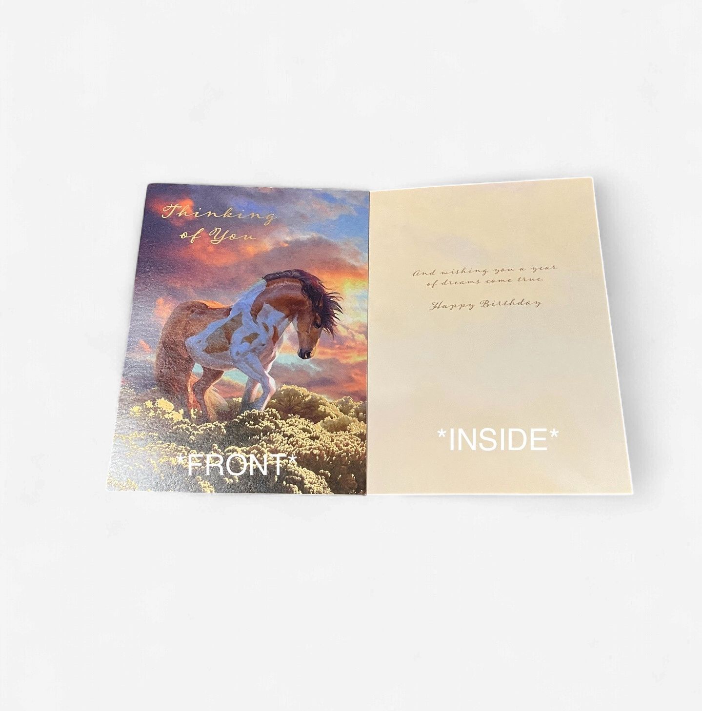 LEANIN TREE - THINKING OF YOU