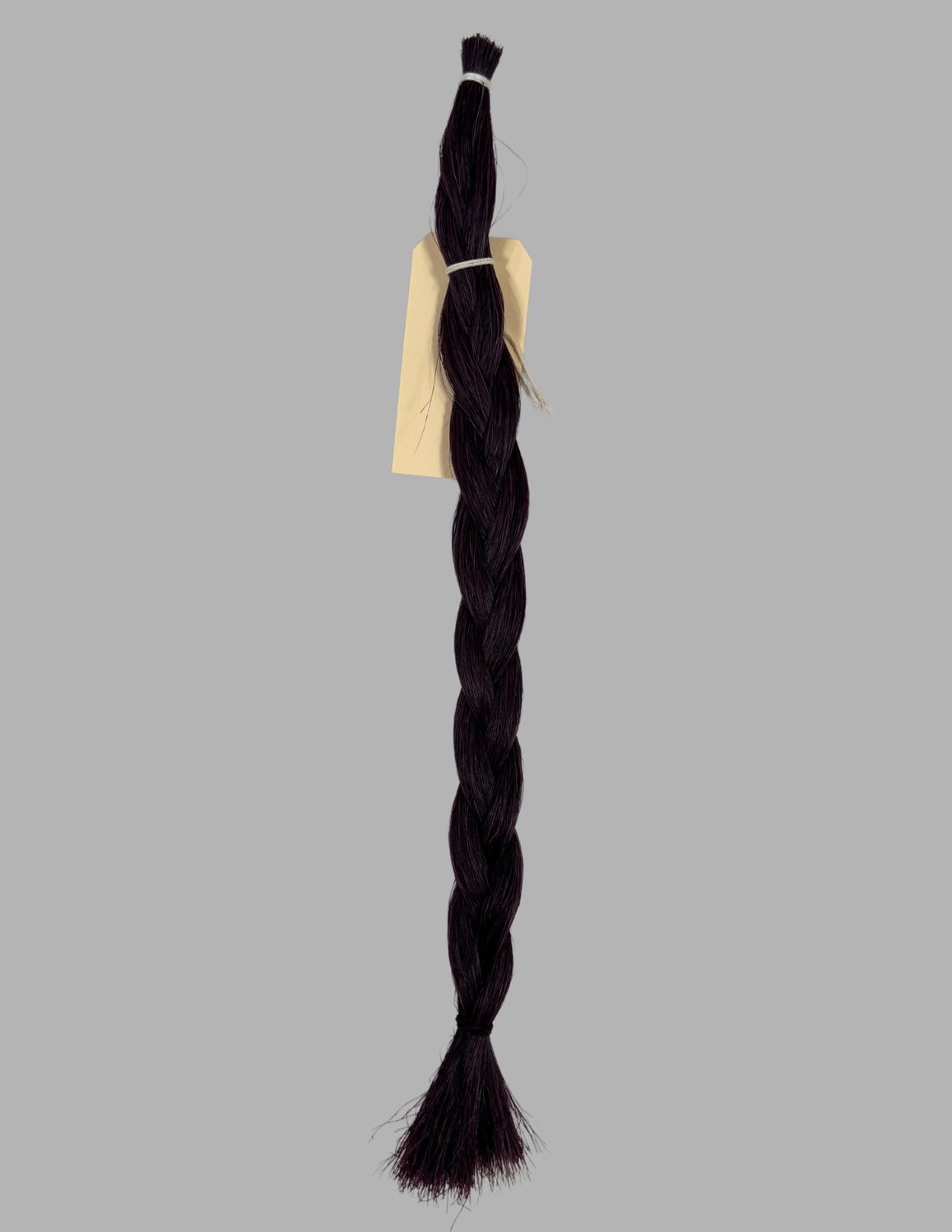 Horse Hair Purple