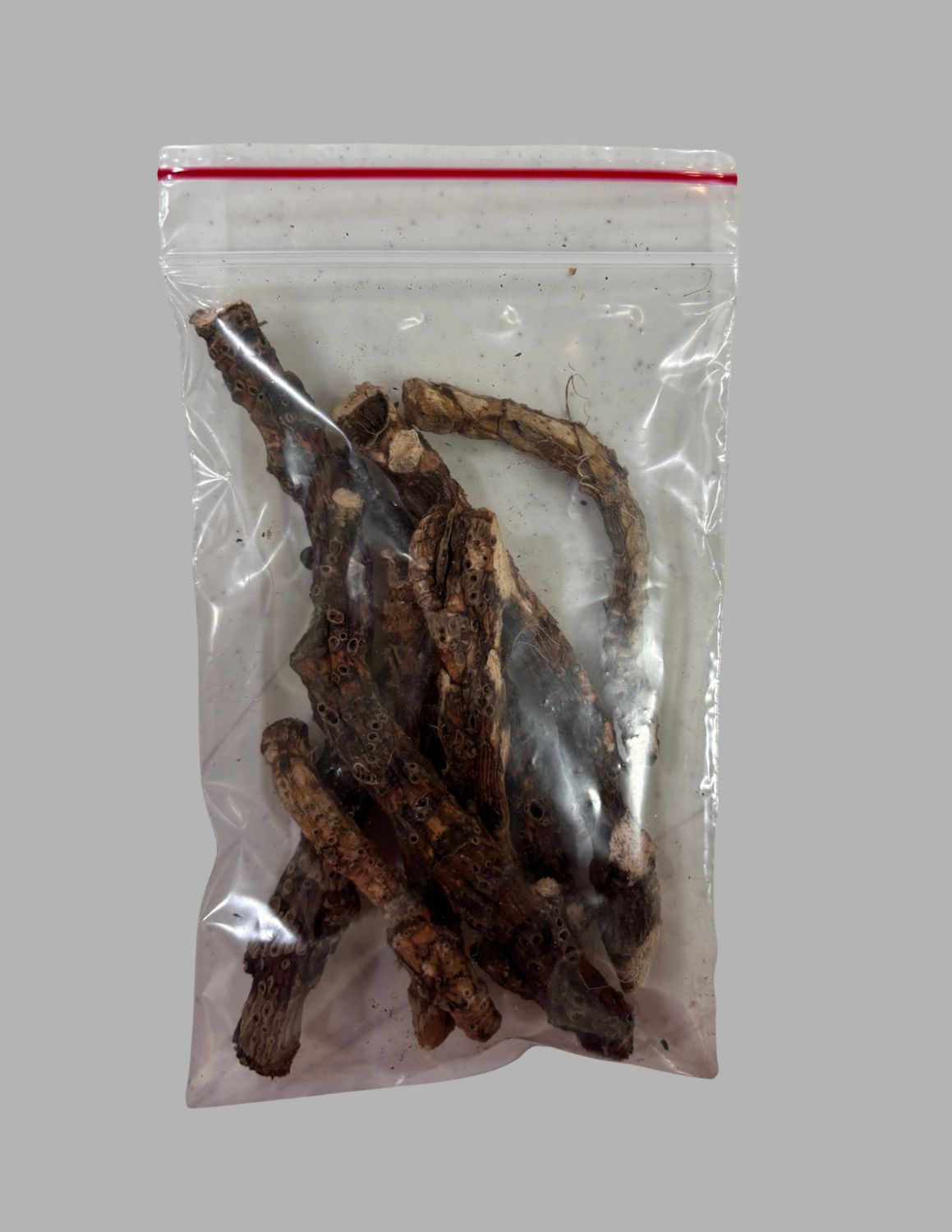 Bitter Root