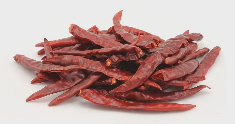 Chile de Árbol sin Cola