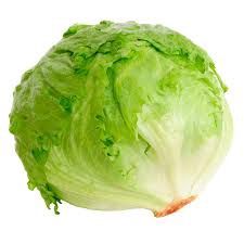 Lechuga Und