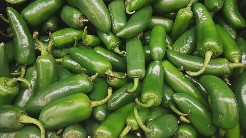 Jalapeño x lbs