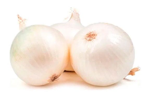 Cebolla Blanca x Lb
