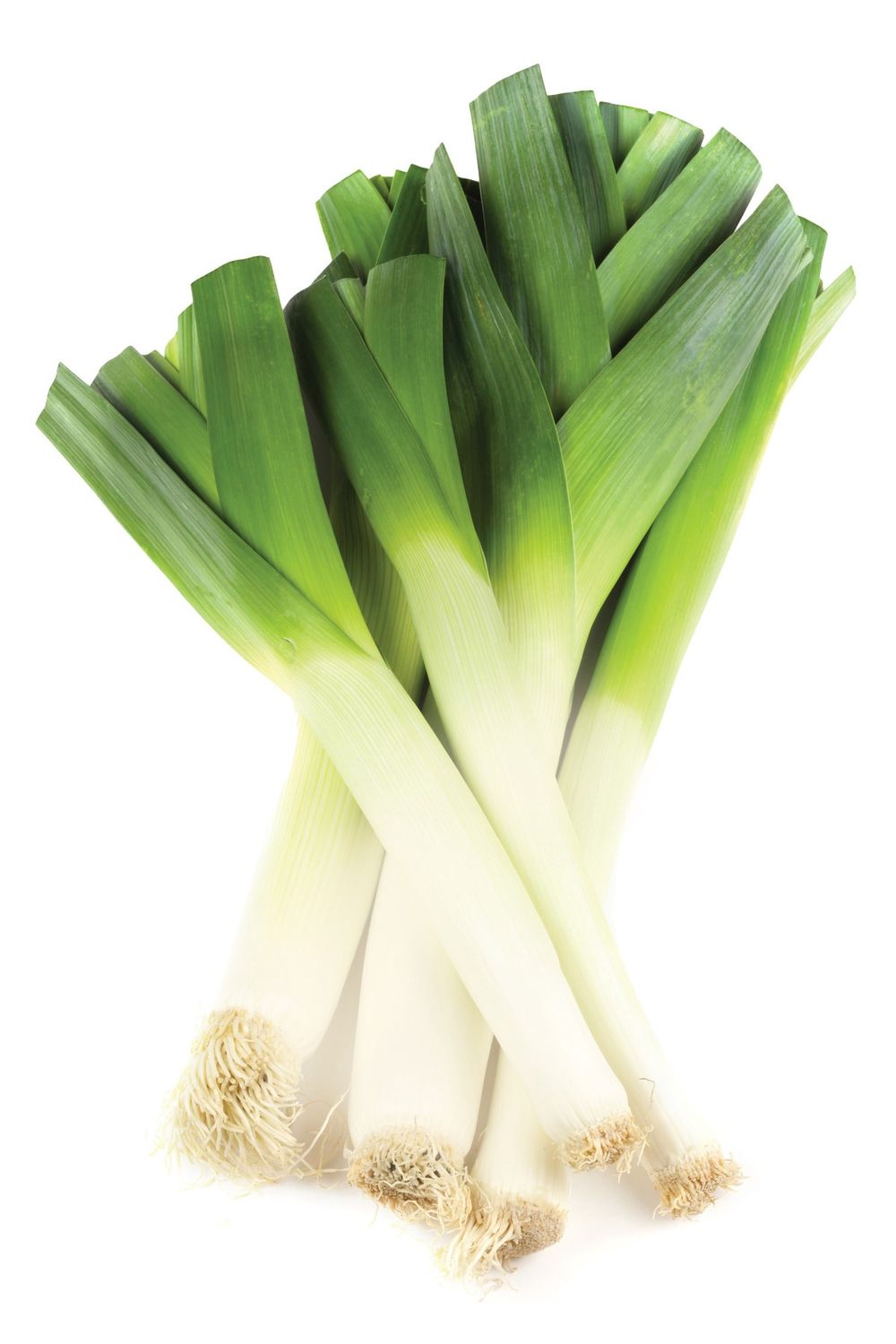 Puerro/Leeks