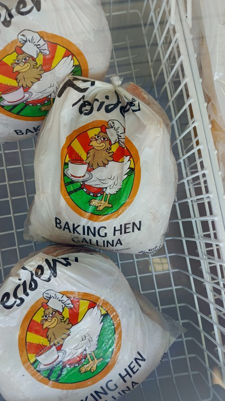 Baking Hen Gallina