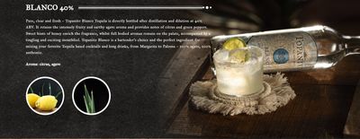 Tequila Topanito Blanco 40.0% (1.00 Liter)