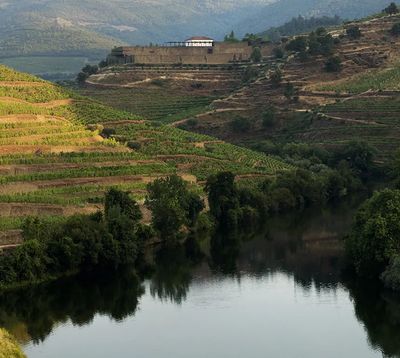 Niepoort - Ruby Port DOC Vila Nova de Gaia 19.5% (0.375 Liter)