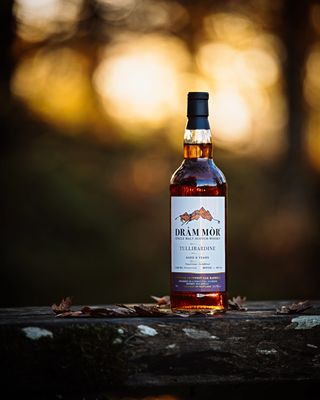 Tullibardine 6Y (2019-2025) 1st Fill Oloroso Sherry Hogshead Finish 54.9 SC "Dram Mor"