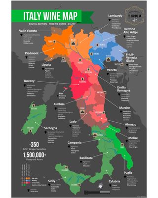 Ulisse Primitivo - LIMITED EDITION - (2022) 14.5% IGP Abruzzo