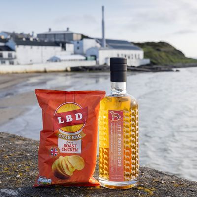 Bowmore 11Y (2015-2026) Refill Bourbon Cask 58.3 "Little Brown Dog"