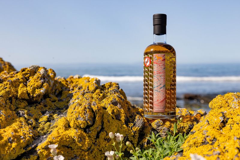 Caol Ila 12Y Unpeated (2013-2026) Refill Bourbon Barrels 57.3 "Little Brown Dog"