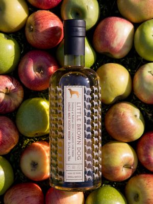 Balblair 12Y (2014-2026) Calvados Cask Finish 56.1 "Little Brown Dog"