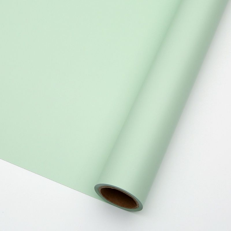 Standard Roll 085 Pastel Green (58 cm × 10 m)