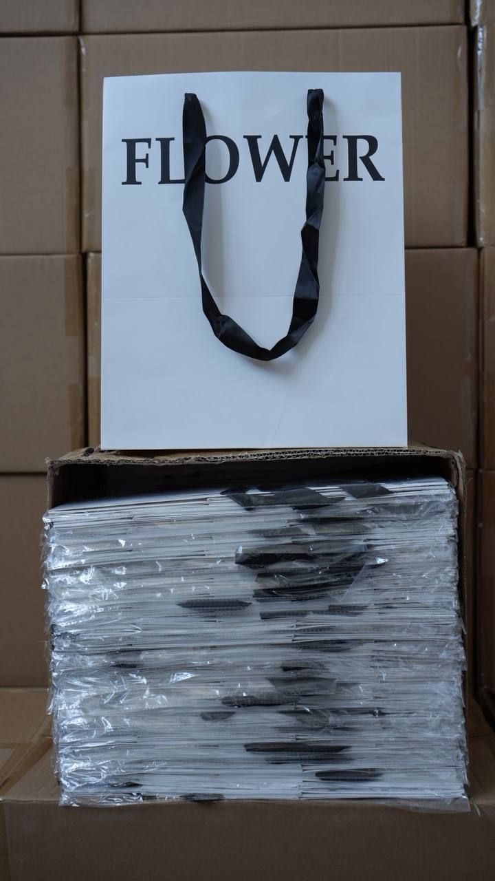 Hand Bag L 100X