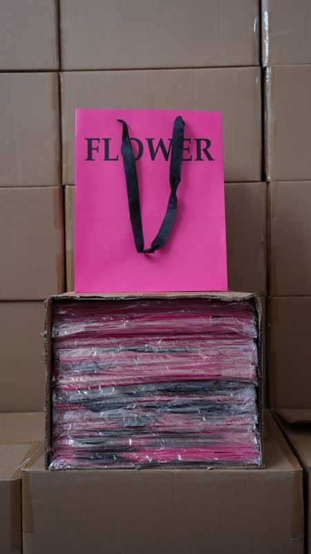 Hand Bag Pink L 100X