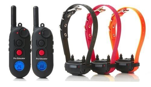 PE-903 2T 3-Dog Pro Educator with 2 Transmitters