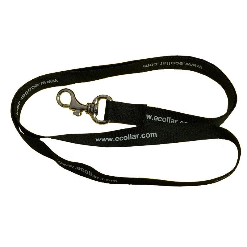 Lanyard