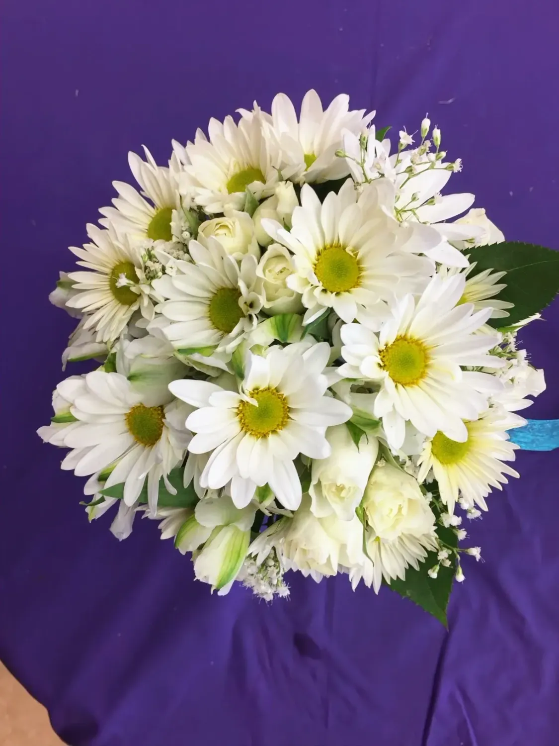 Bunches of Love - Daisies
