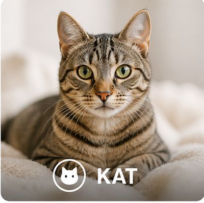 Kat