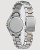Citizen Ladies "Crystal" Silver Tone Eco Drive Watch