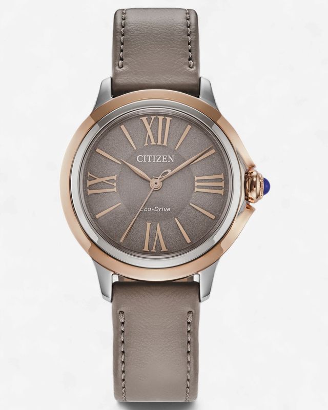 Ladies L Ceci Black Dial Stainless Steel Eco-Drive