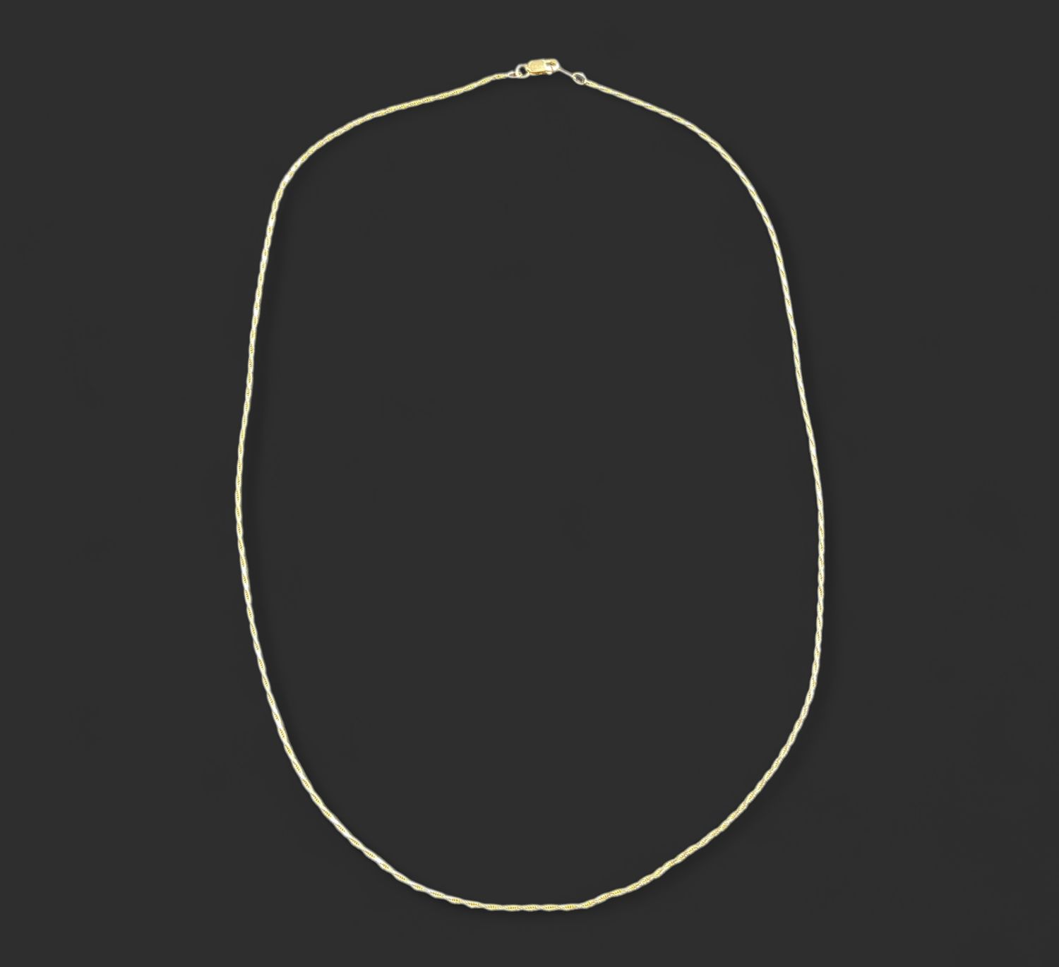10 Two Tone Necklace 21in Previously Loved