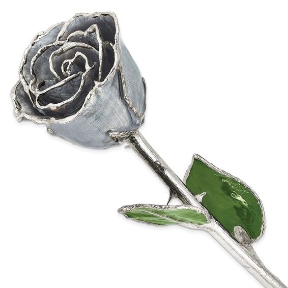 Silver Lacquer Dipped Silver Trimmed Moonstone Rose