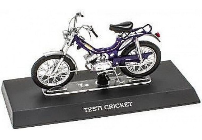 Testi Cricket