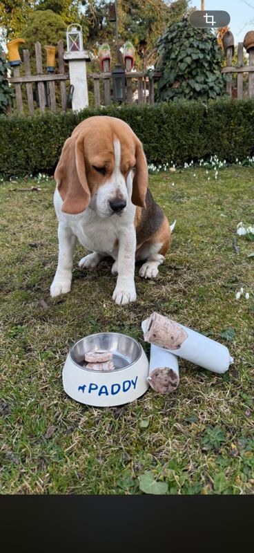 Hundewurst ca 90 dag