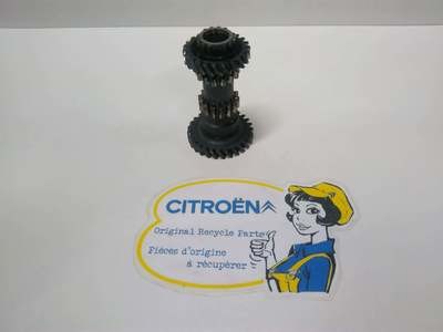 Torentandwiel 19/25 - 23/26 - 14/31