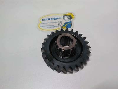 Wheel of dismissal - large gear 3rd 13/25