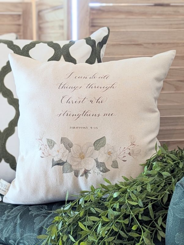Pillows &amp; Pillow covers