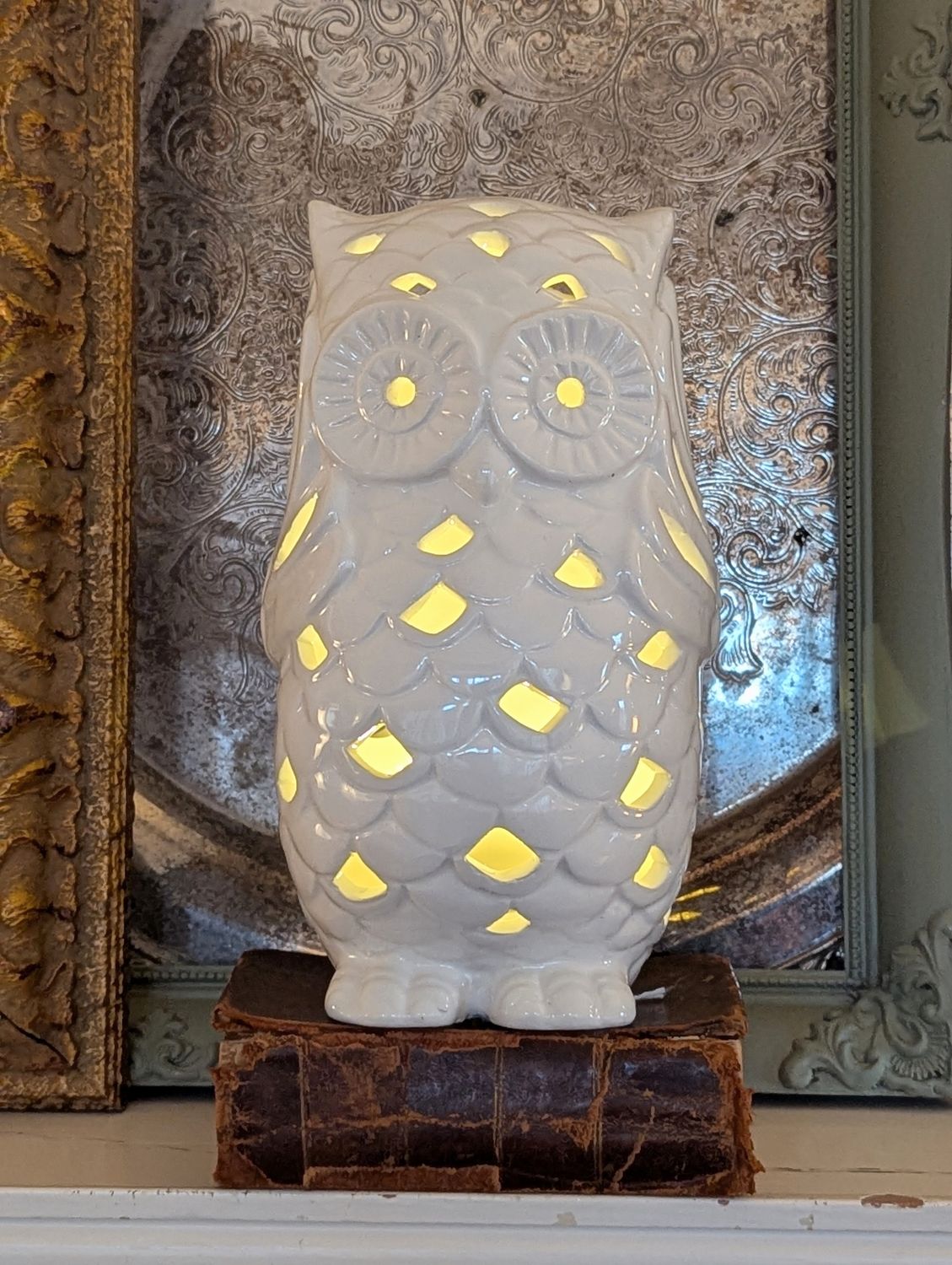 Lighted Owl
