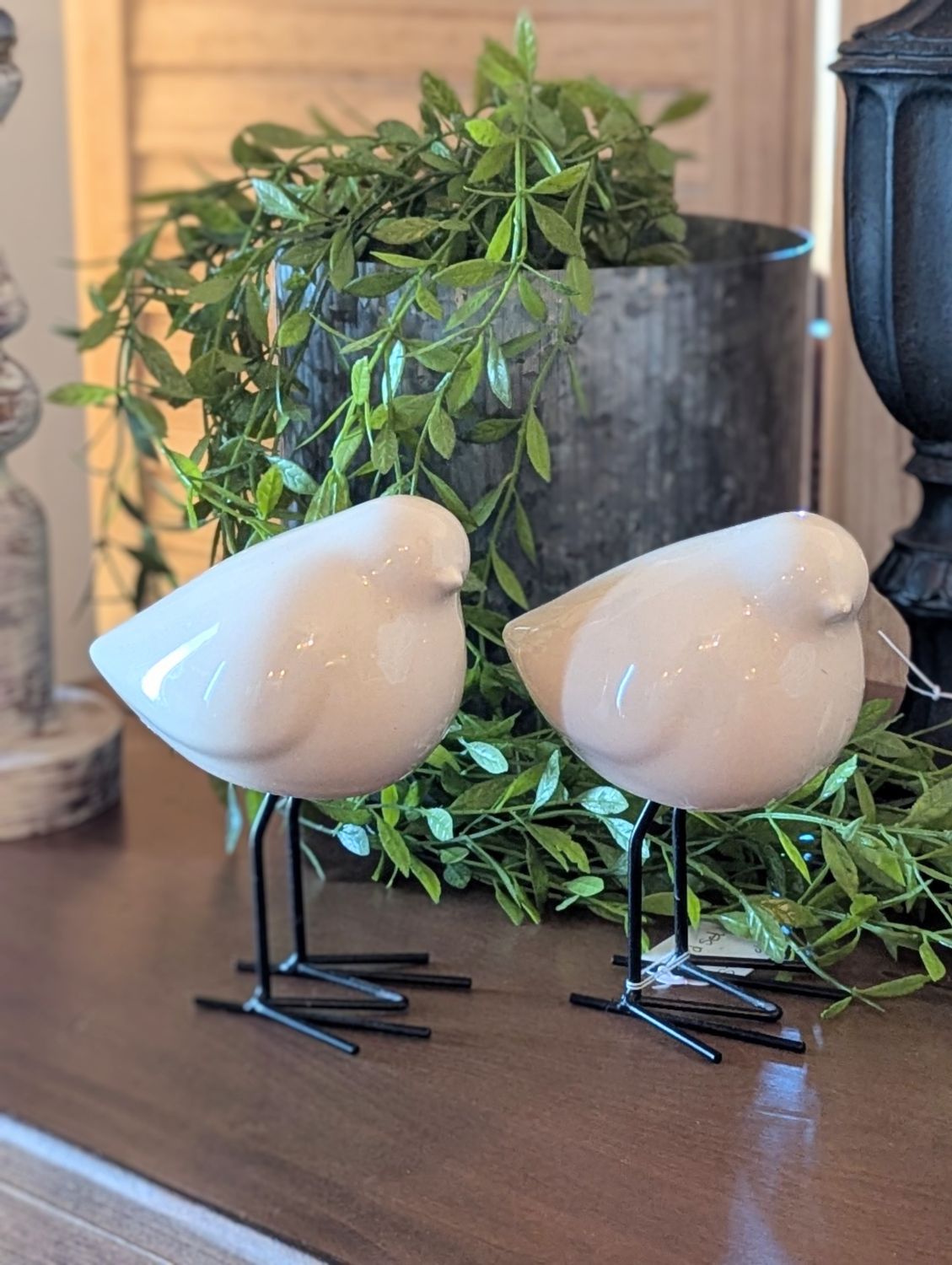 Birds