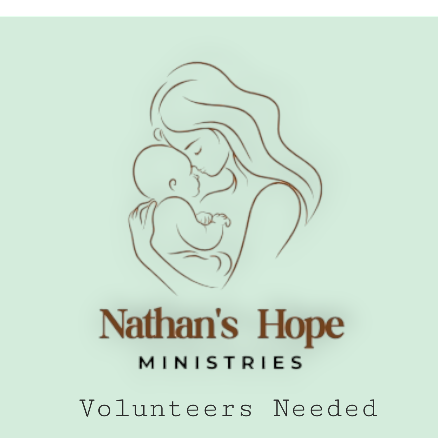 Nathan's Hope Ministries Donation