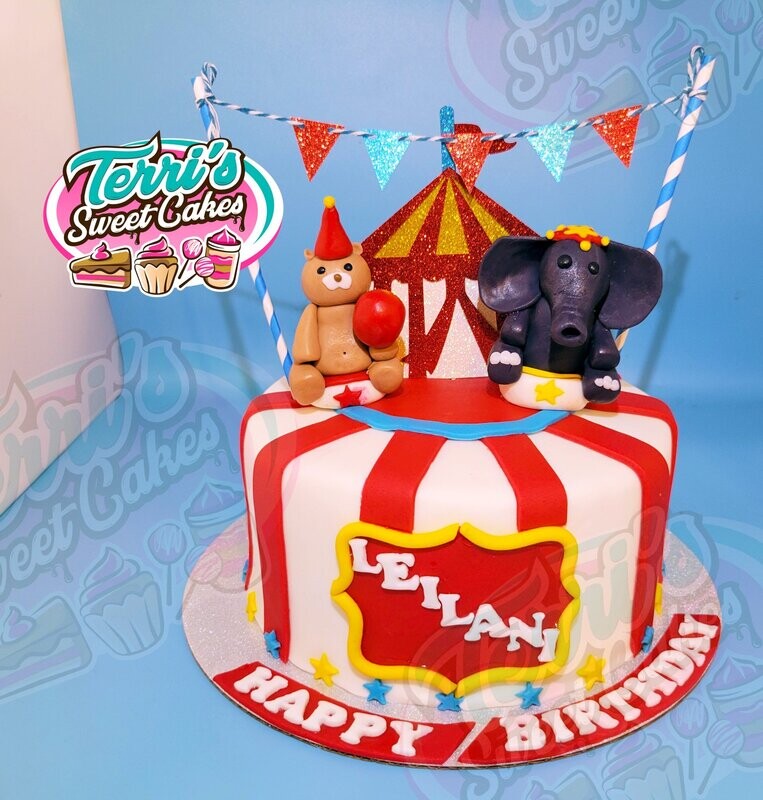 Circus Themed Cake