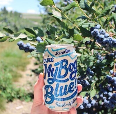 Brew Bus Brewing:You're My Boy Blue (4-PACK)