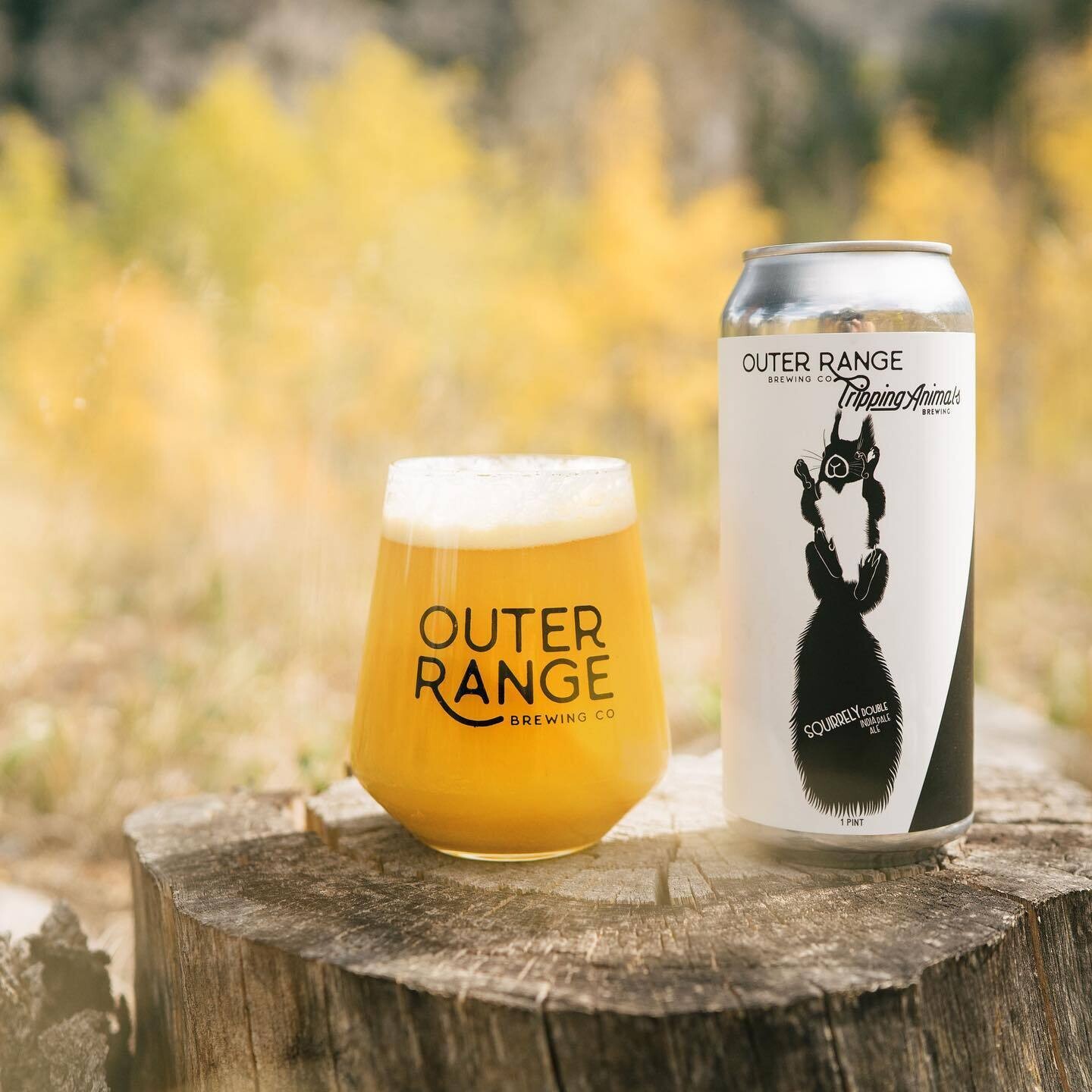Outer Range Brewing Squirrely DIPA (4-PACK)