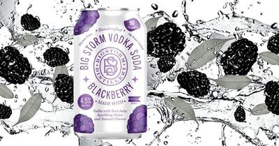 Big Storm Distilling Vodka Soda Blackberry (8-PACK)