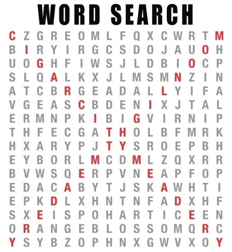 Cigar City Cider &amp; Mead Word Search (SINGLE)