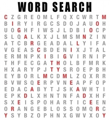 Cigar City Cider & Mead Word Search (SINGLE)