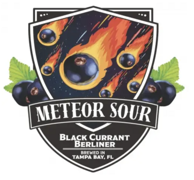Big Storm Brewing Black Currant Sour Ale (1/6 KEG)